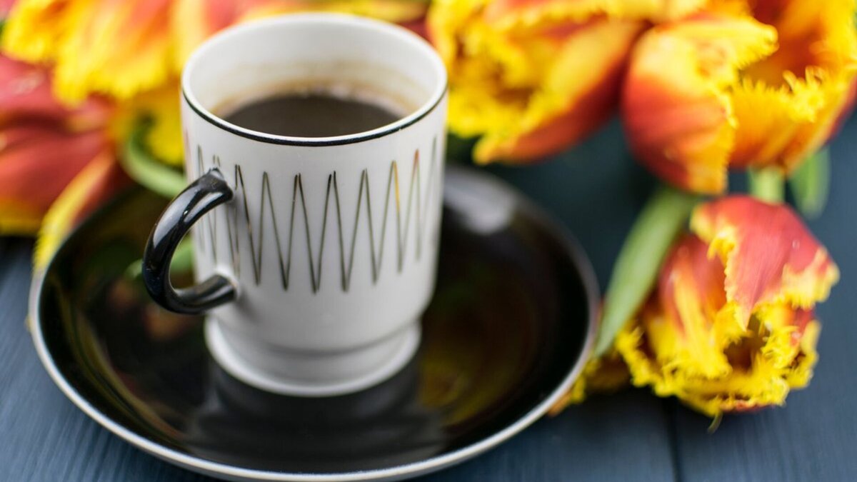   Zapylaieva Hanna/Shutterstock.com