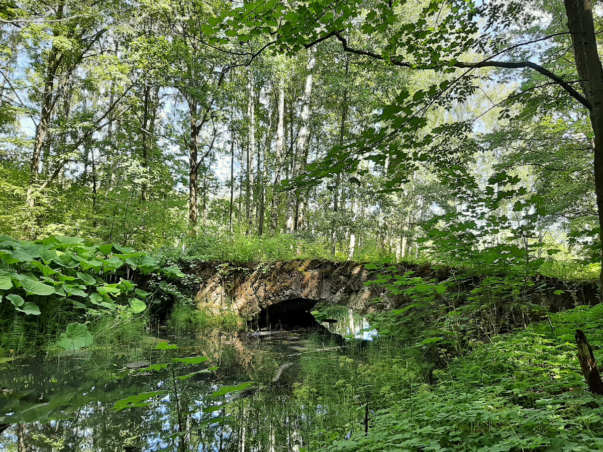 английский парк в петергофе