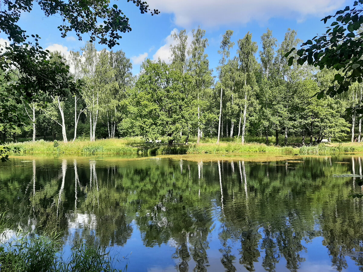 английский парк в петергофе