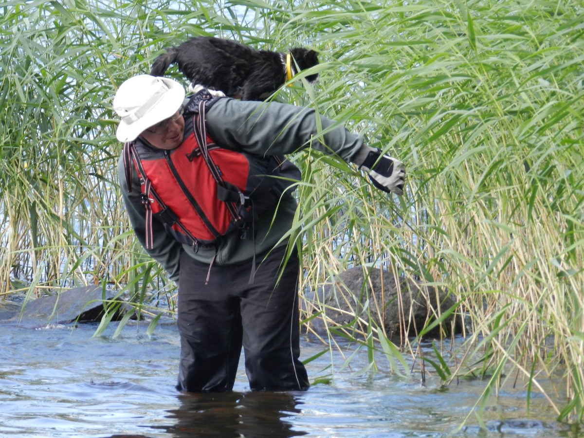 Спасработы
