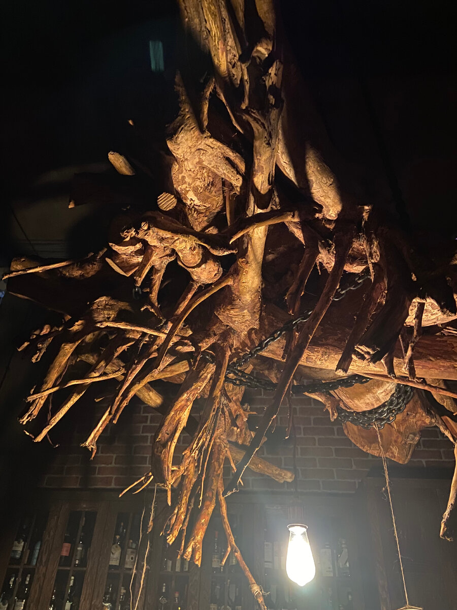 Корень, висящий в нашем баре