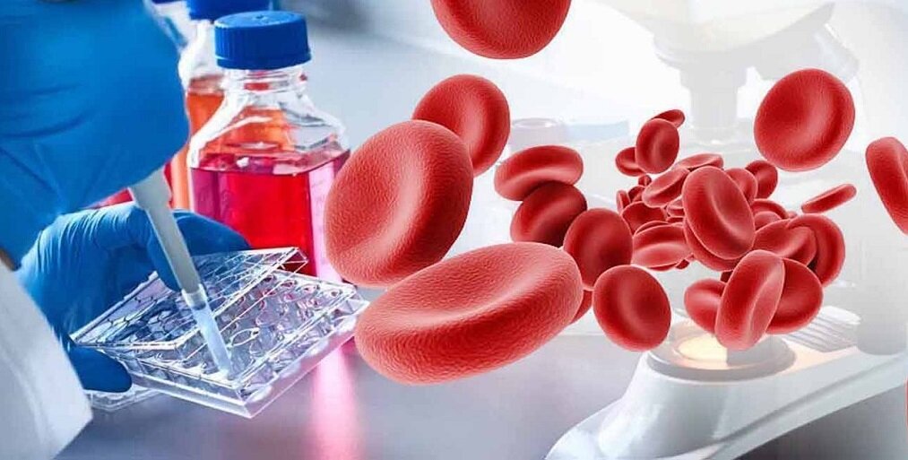 Гематолог - врач, который занимается профилактикой, диагностикой и лечением заболеваний крови и органов кроветворения.