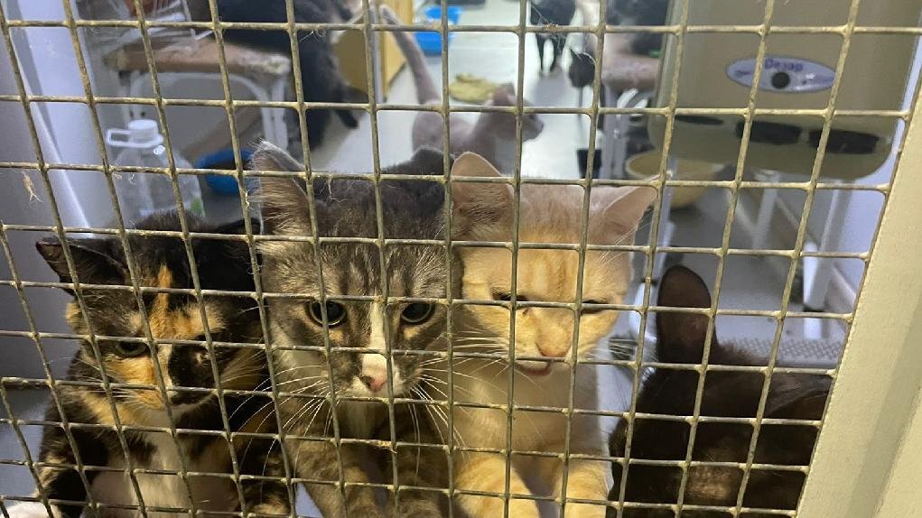    фото – прокуратура ЯНАО