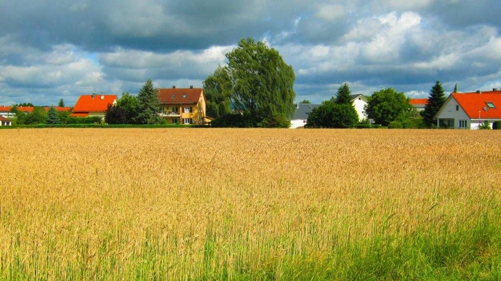 развитие сельских территорий программа 2024. (тыс. проекты комплексного развития сельских территорий. госпрограмма развитие сельских территорий. развитие села программа.