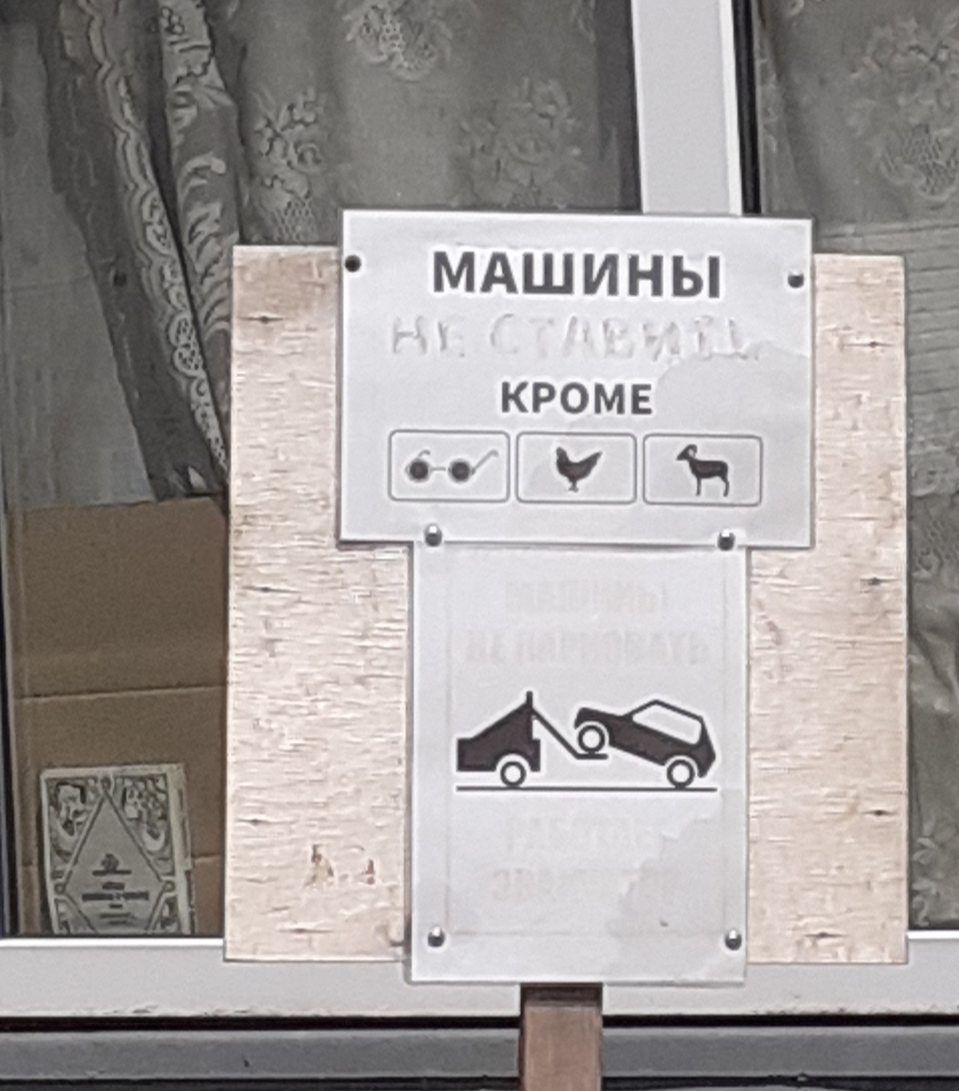 Фотография автора