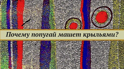 Почему попугай машет крыльями? Сравнение разных видов движения попугая на примере жако. Чем отличается половое поведение.