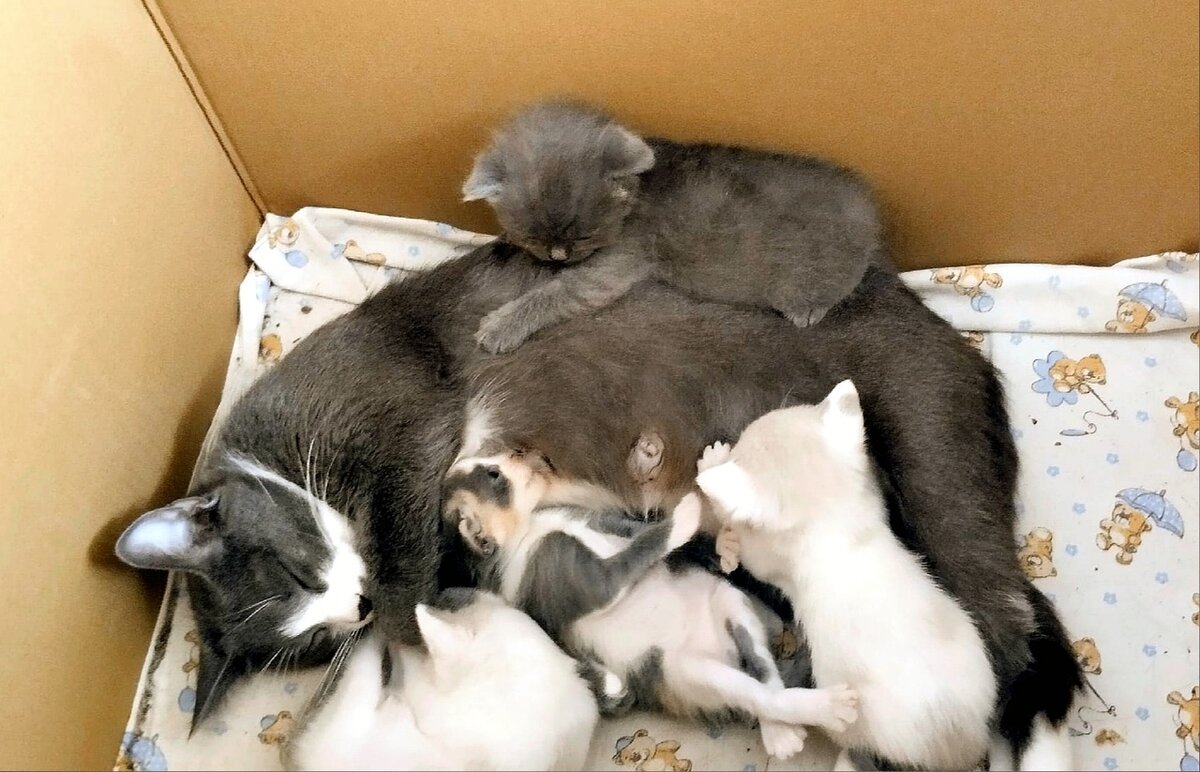 Находка оказалась с сюрпризом