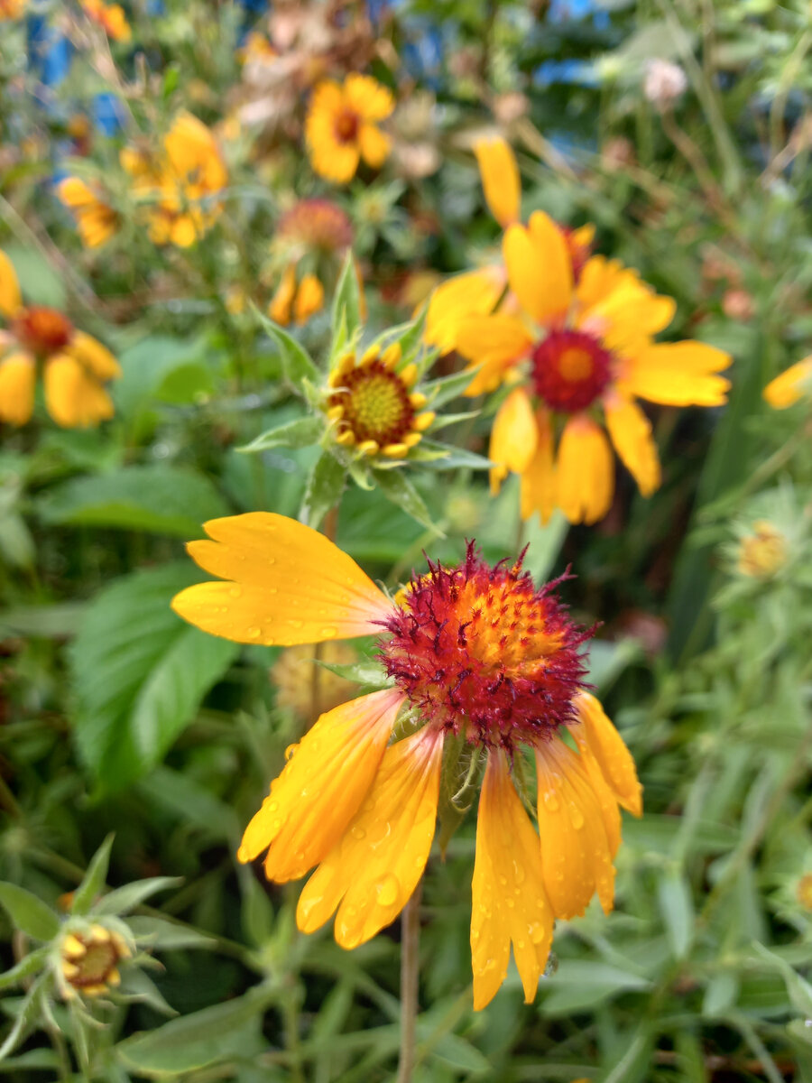 Эта божественная прохлада....