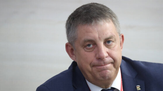    При обстреле села в Брянской области погиб человек Дарья Смирнова