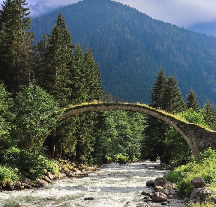 Горные реки Фыртына и Шаирлер (Fırtına deresi ve Şairler)
Ризе Турция что посмотреть
Река Фыртына

Эта достопримечательность обожаема любителями экстремальных видов спорта. Горные реки Фыртына и Шаирлер славятся быстрым течением и крутыми порогами. Поэтому сюда регулярно приезжают поклонники рафтинга и каноинга. В Ризе предлагают организованные туры к рекам, сафари по местным извилистым тропам и плато Чагиранкая и Елевит, а также увлекательную рыбную ловлю в озере Иузулялягы.