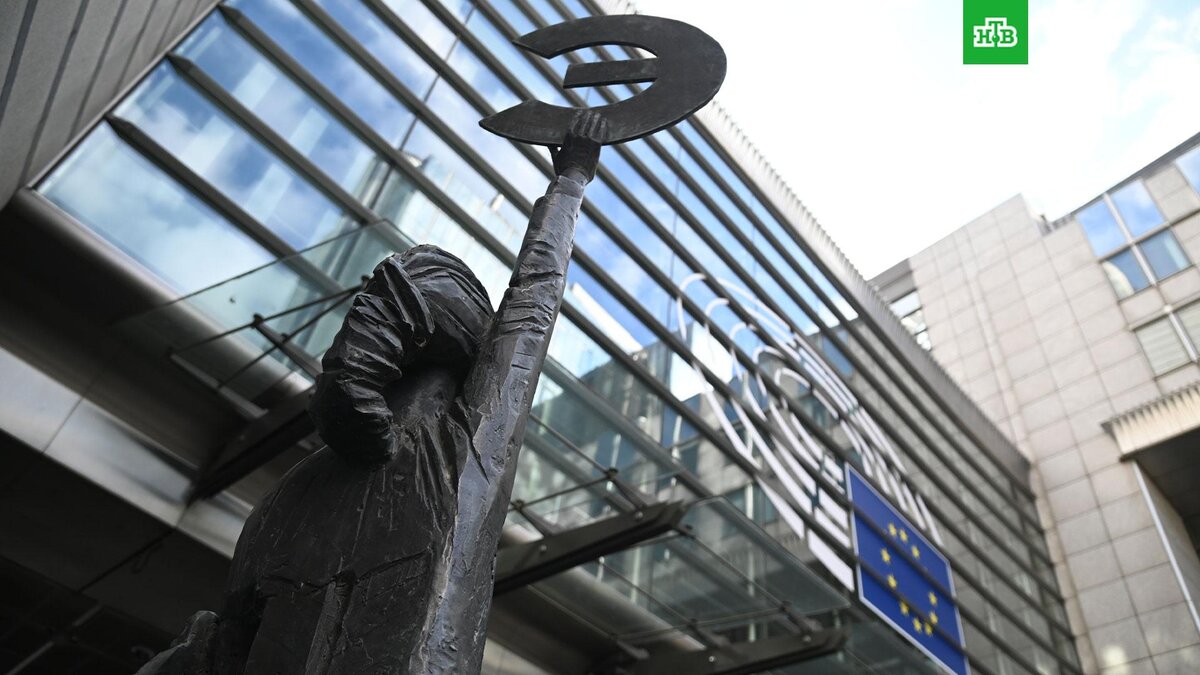    Фото: РИА Новости © 2023, Алексей Витвицкий