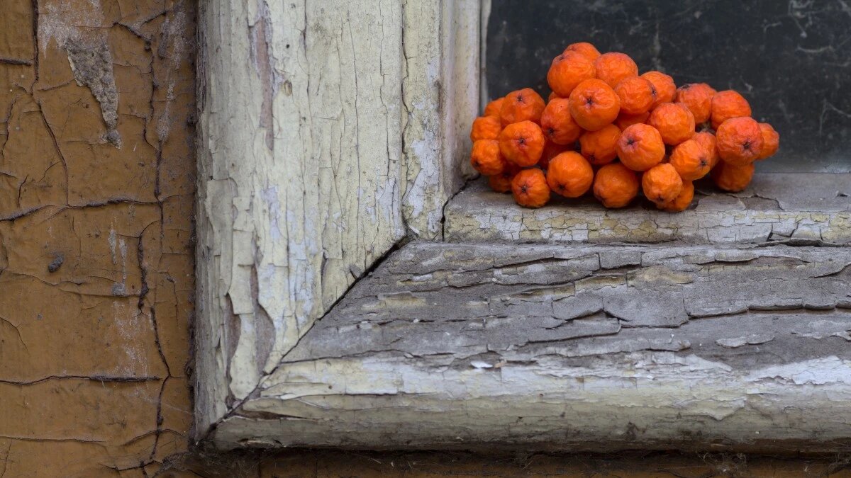 Фото: pxhere.com