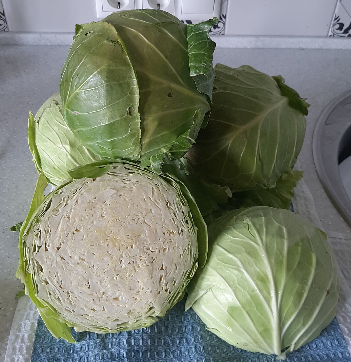 Моя капустка, которую я вырастила прошлым летом