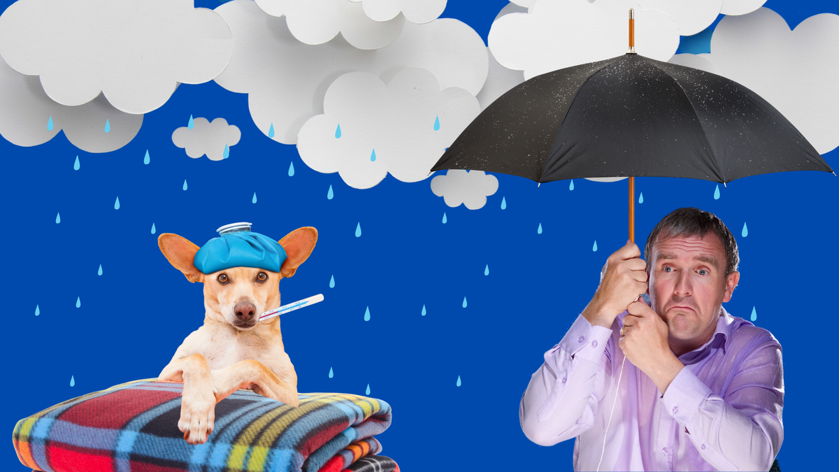 Коллаж автора