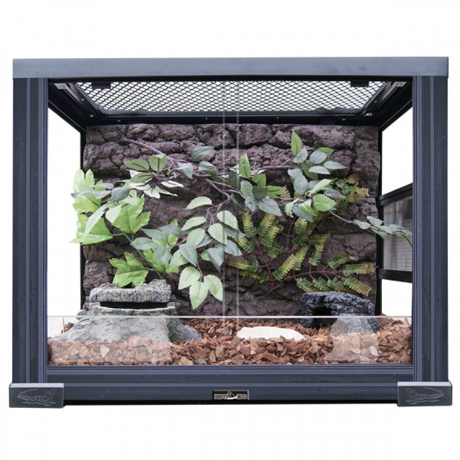 Идеальный террариум, оборудованный проточной вентиляцией.