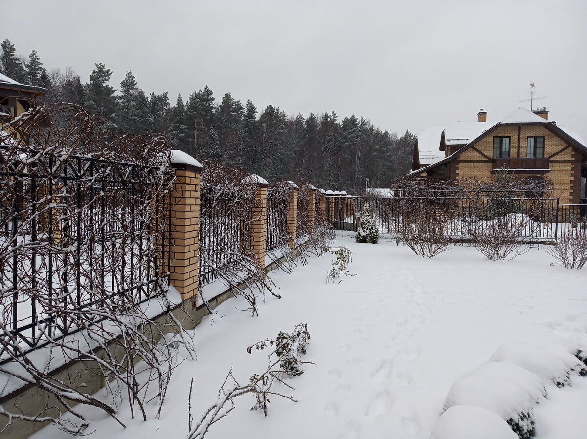 Из личного архива, январь 2020