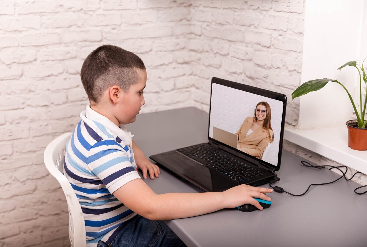 Удаленка в школе.