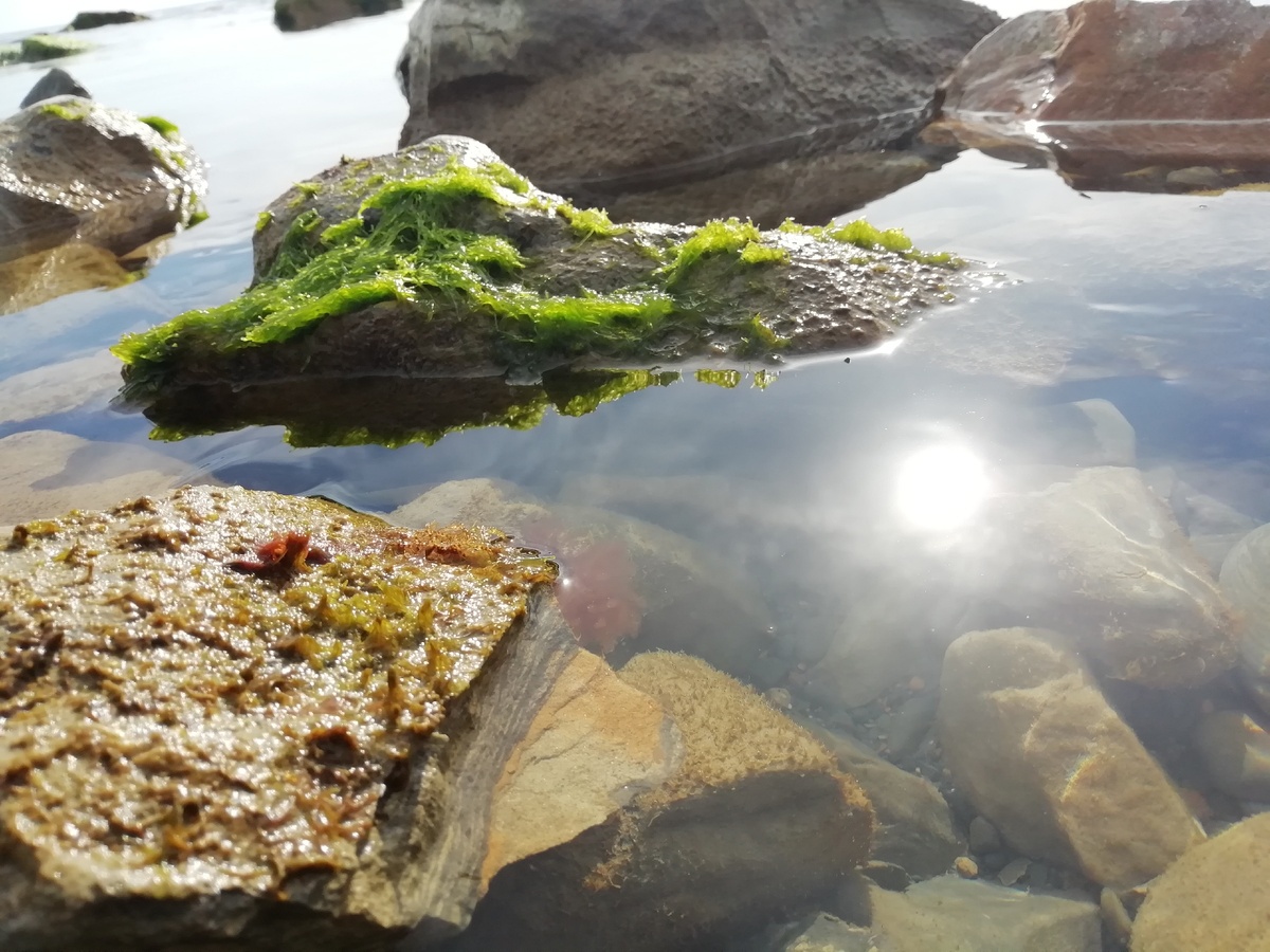Великолепно прозрачная вода на каменистом пляже Анапы
