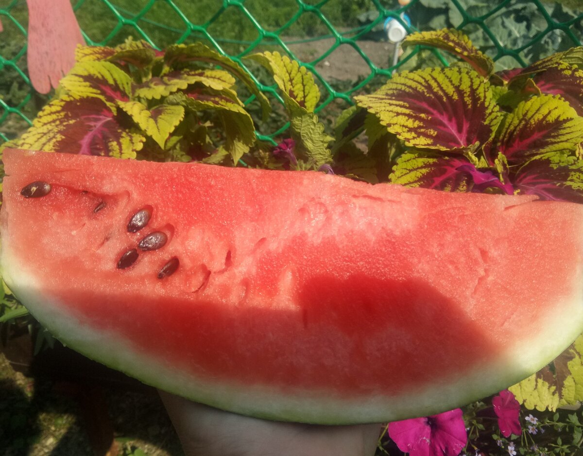 фото из личного архива 2020г.