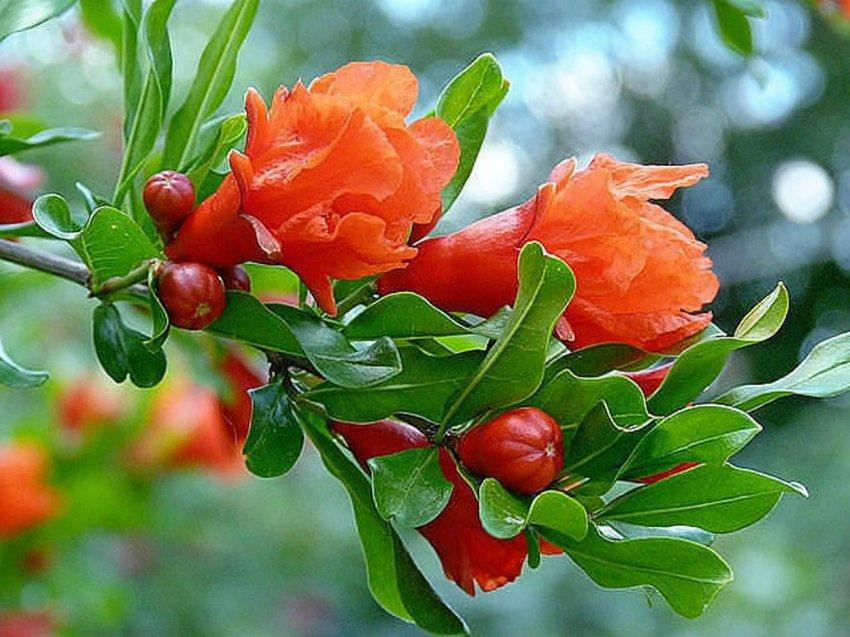 фото из интернета