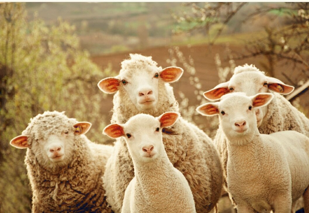 Взято из открытого источника.