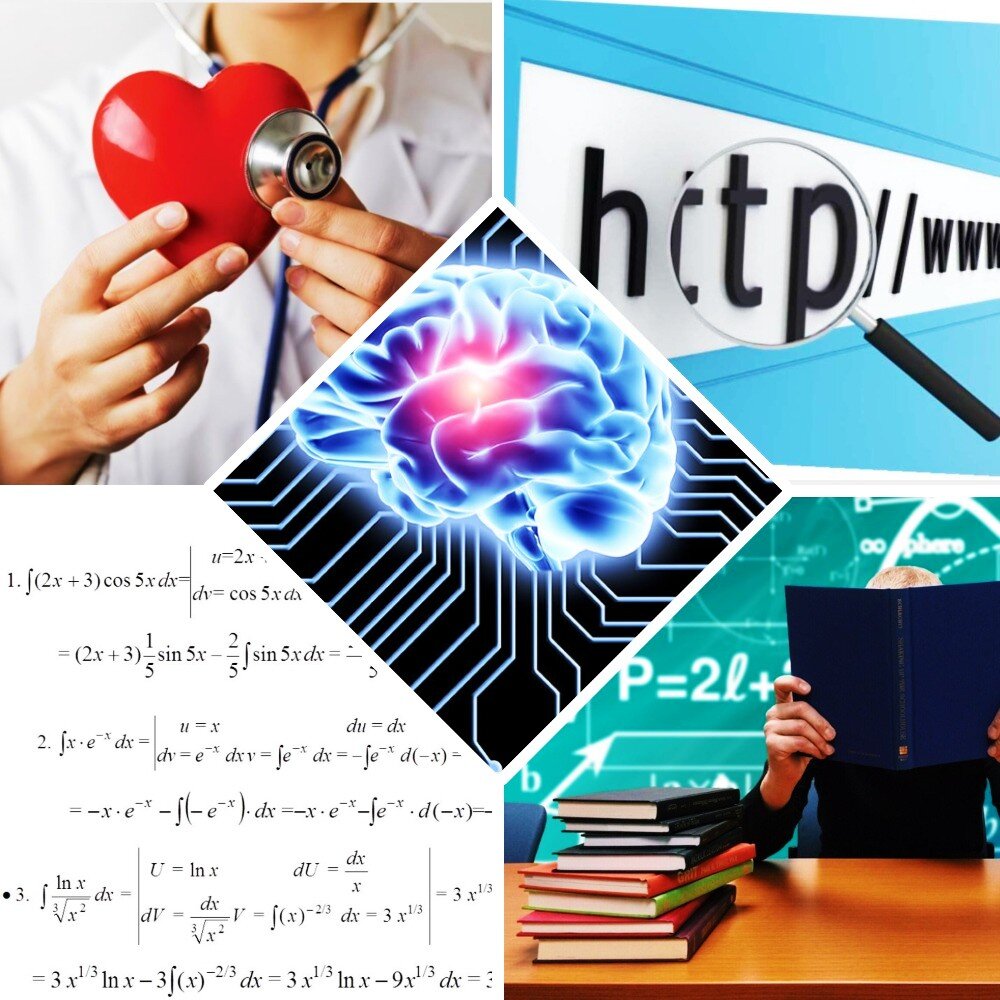 Область использования нейросистем огромна: математический анализ, медицина, образование и поисковые системы