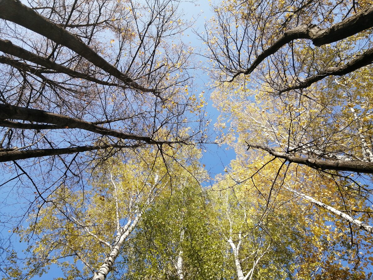 Осень. Фотография из личного архива автора