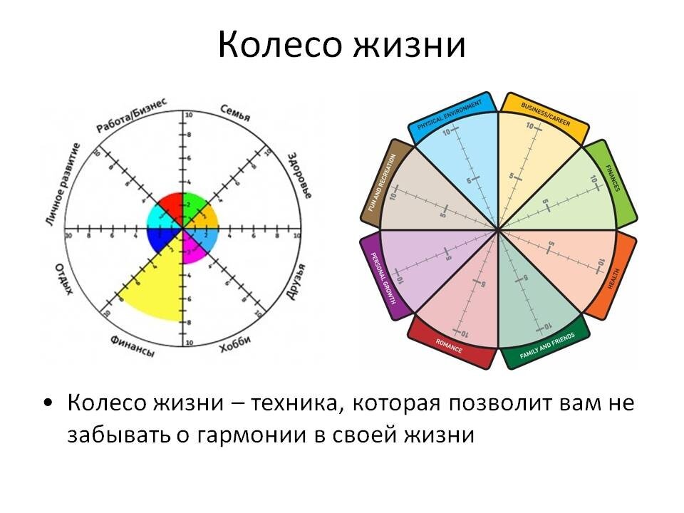 Диаграмма сфер жизни круговая