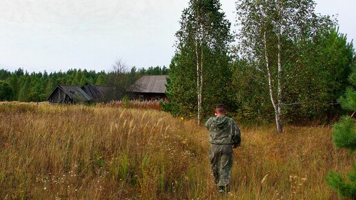 ПОКИНУТЫЕ ПОСЁЛКИ ПОСРЕДИ ЛЕСА. ВОКРУГ НИ ДУШИ, ТОЛЬКО ЛЕС, ЖИВОТНЫЕ И ТЫ