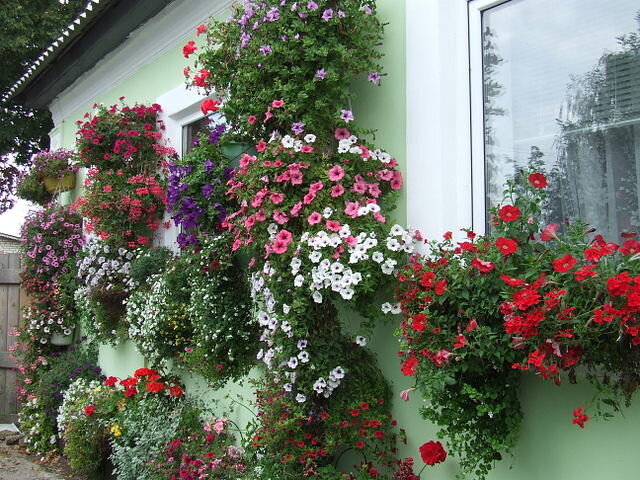 Контейнерное цветоводство