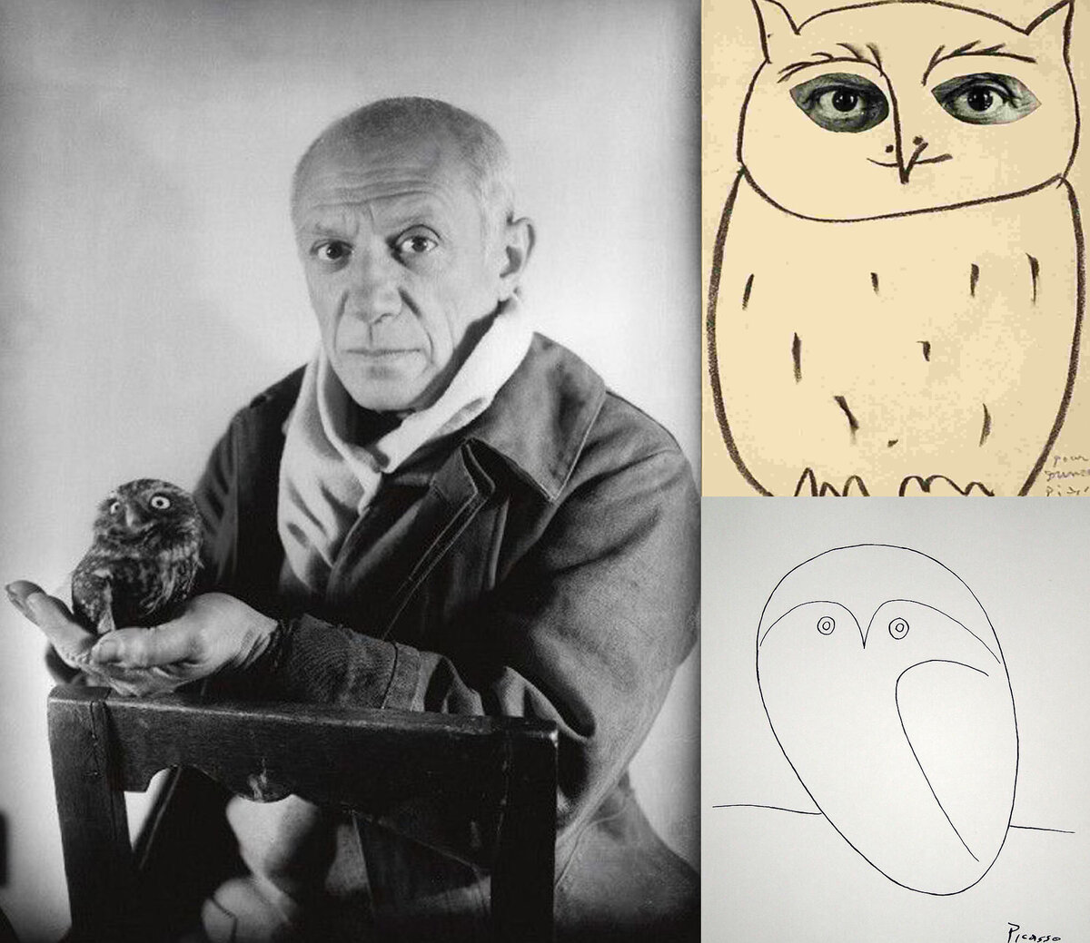 Пабло Пикассо и его сова / Изображение совы Пикассо.