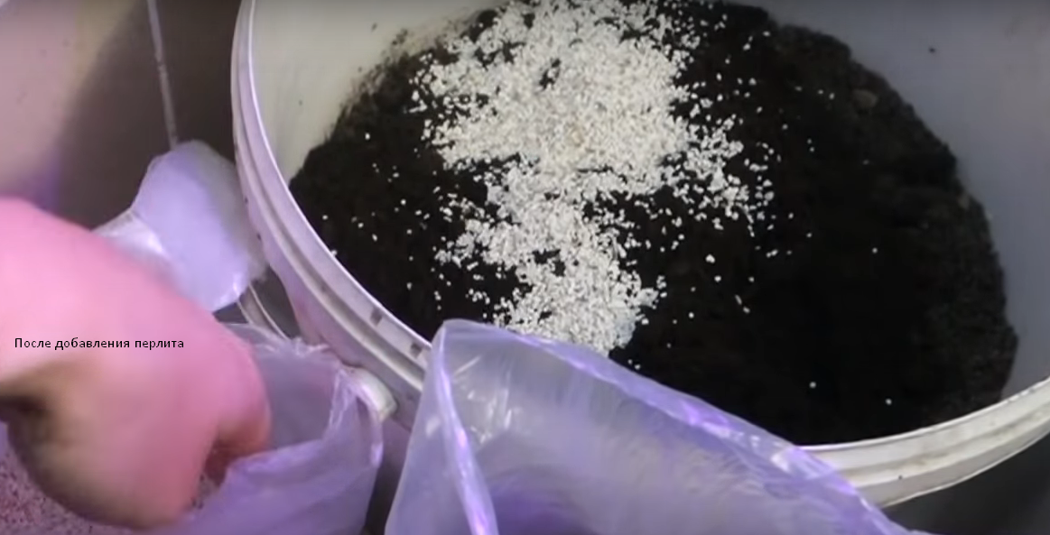 Почва после добавления перлита