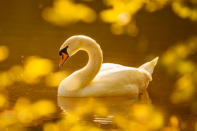 Подписывайтесь на мой канал, задавайте вопросы, делитесь с друзьями.