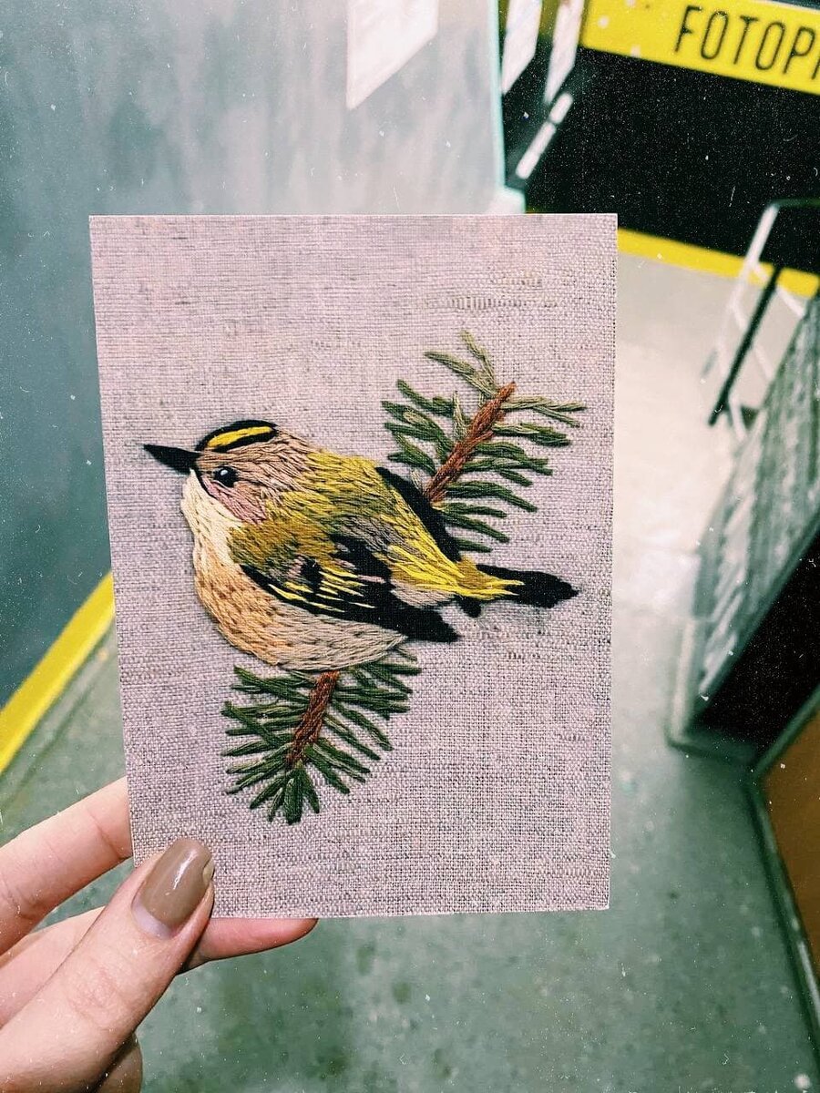 Королёк на еловой ветке