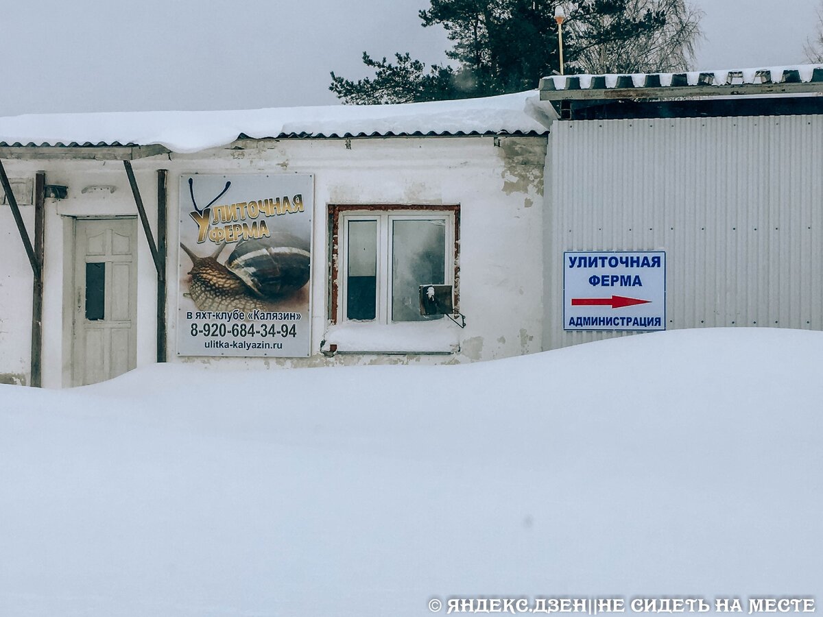 На подъезде к ферме казалось, что мы сейчас увидим что-то слегка "колхозное"