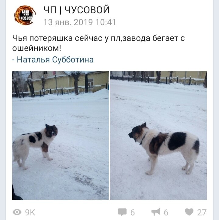 Первая информация о потеряшке..Фото из ВКонтакта. 