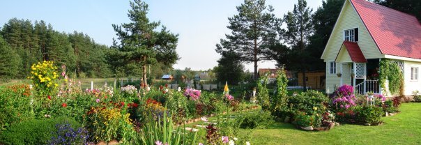 Дача родителей.