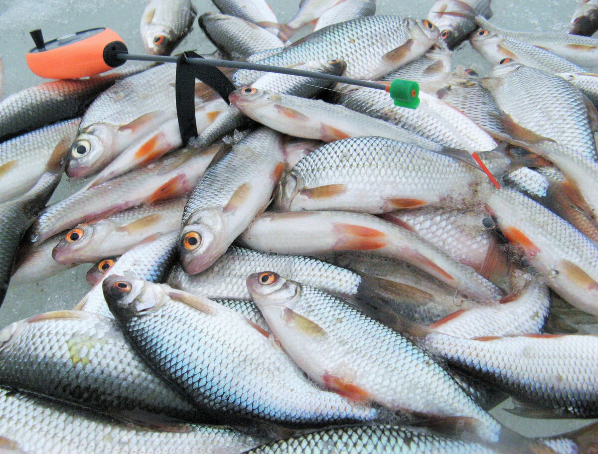 Когда мормышка не дает результата, поможет крючок