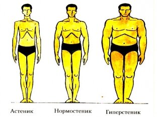Психотипы личности в зависимости от телосложения: астеник, нормостеник, гиперстеник