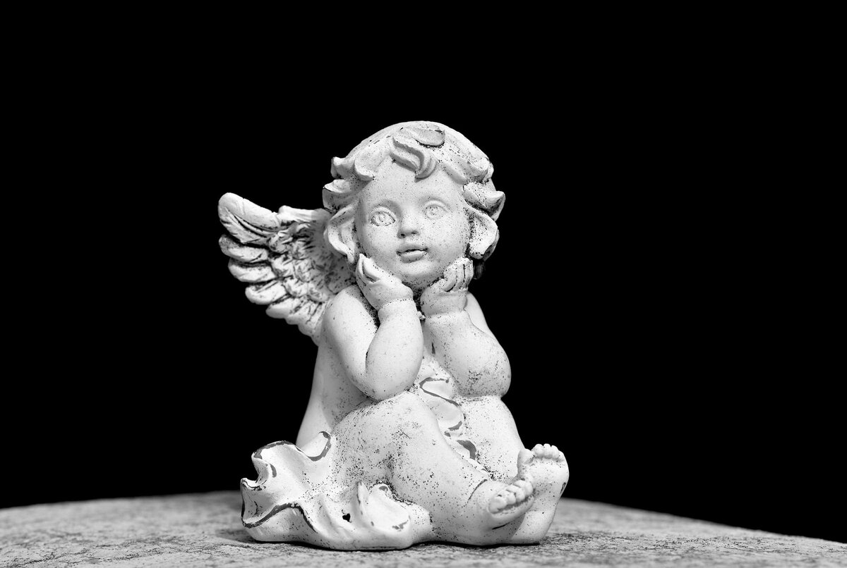 Изображение взято из открытого источника