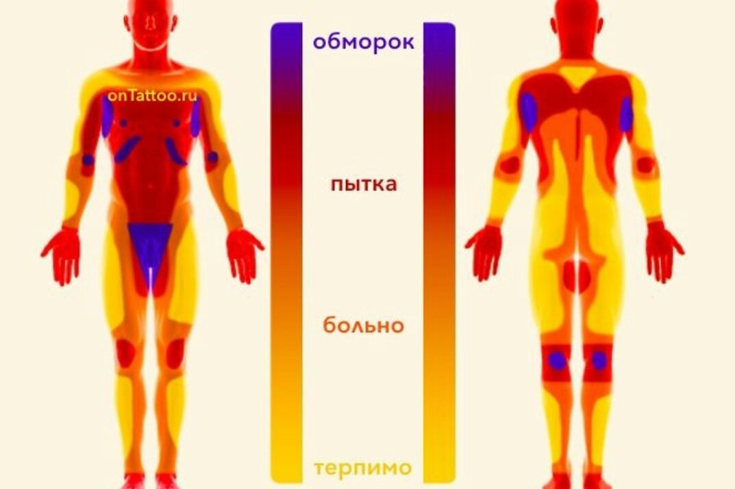 Зоны терпимости боли в момент нанесения тату.