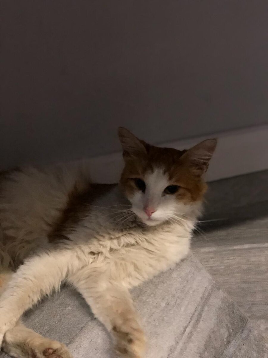 Вот так я провёл  первые дни, не двигаясь совершенно.