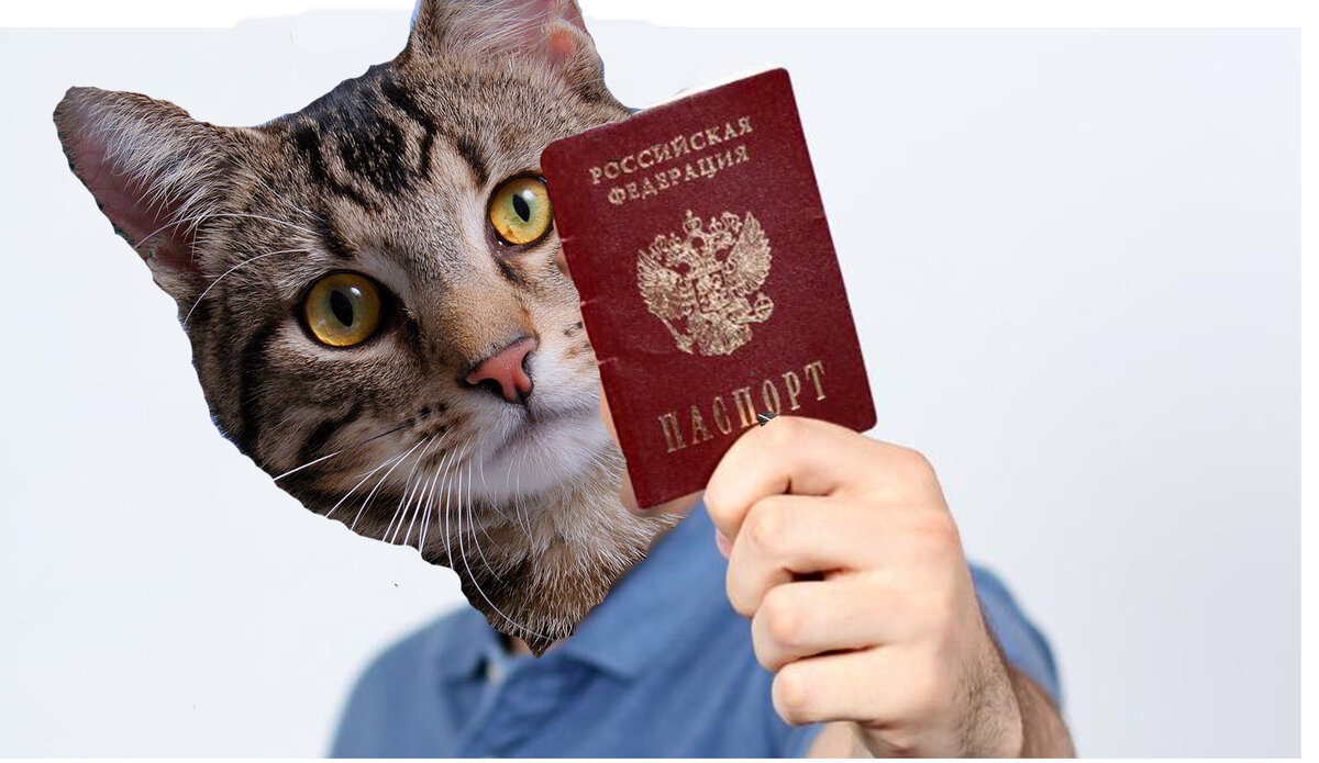 Вот вам мое селфи с паспортом