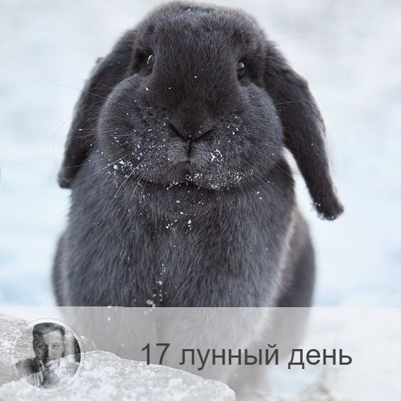 Подписывайтесь на наш канал, друзья!
17-ый лунный день с 17:56 27-ого по 19:26 28-ого. 🔆 Время радости и удовольствия.
🍇 Символа дня – гроздь винограда, колокол.
🎂 Люди, рождённые в этот лунный день, нуждаются в своей половинке, для них она будет источником энергии, тогда их ждет мудрость, сила, процветание и счастье.
💍 Камни - аметист, циркон.
🌞 17-ые лунные сутки связаны с Содомом и Гоморой, символы — заяц, виноградная лоза и колокол. Не стоит начинать серьёзные проекты, зато можно уделить время отдыху и веселью. Сегодня можно расслабиться, отдаться настроению, провести время с хорошими друзьями, выпить вина и от души посмеяться. Этот день прекрасен для занятий тантрическими практиками и сексуальных наслаждений. Благоприятно путешествовать и заниматься коммерцией. Очень сильна женская энергетика.
✅ Рекомендуемые практики: веселитесь, смейтесь, любите.
С самого утра настройтесь на то, чтобы замечать все позитивное, хорошее, доставляющее радость. В течение дня отдавайте предпочтение приятным занятием. Делайте все то, что у вас хорошо получается, и это обязательно принесёт радость и удовлетворение.
❌Запрещено: ругань, заключение договоров, обещания.
Сегодня нельзя комплексовать и ругаться. Старайтесь избегать трудностей и не создавайте их искусственно. Лучше отказываться от поступающих предложений, не создавать себе долгов и не давать обещаний, поскольку это мешает внутренней свободе. Если неправильно использовать энергию 17-го дня, создавать себе ограничения, то человек может вести себя бесконтрольно, что будет вредно для него и для окружающих.
⭕️Уязвимые органы: почки.
С этим днём связаны эндокринная системы, гипофиз, почки и надпочечники.
💤 Сны сегодняшнего часто исполняются на 3-ий день. Если сон приятный, то это значит, что ваши дела ждет успех. Если же сон неприятен, то в вас недостает гармонии.

—————
«Знание о будущем уже в настоящем!»
(с) Олег Персидский 👉 numeromagic.ru/uslugi