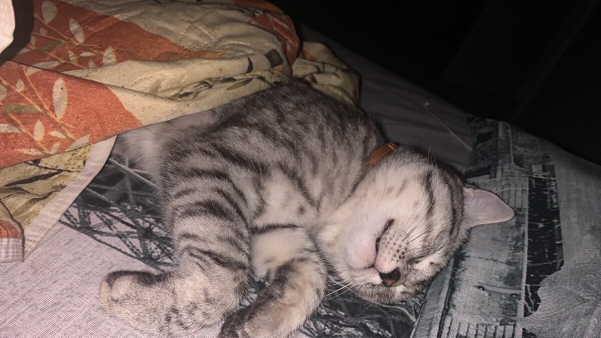 Где справедливость? 