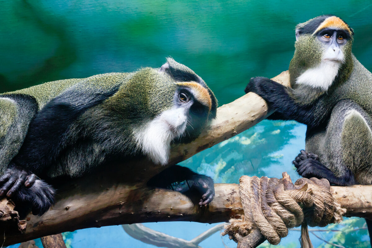 Грустить ли после гадостей под постами?..