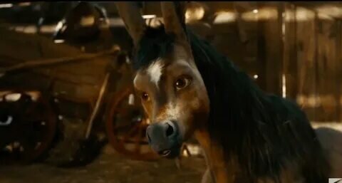 "Конек-Горбунок" - размахнулись авторы на рубль..." Фото Яндекс.Картинки. 