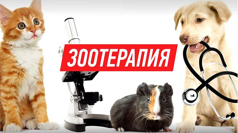 Превью