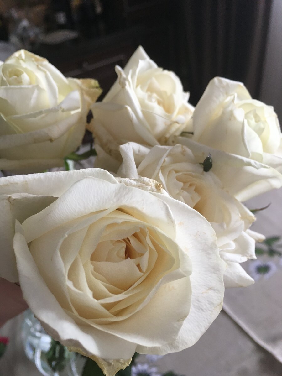 Какой мужик, такие и розы. Пострадали бедняжки вчера в битве