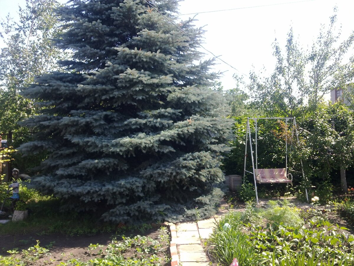 Место для утренних посиделок